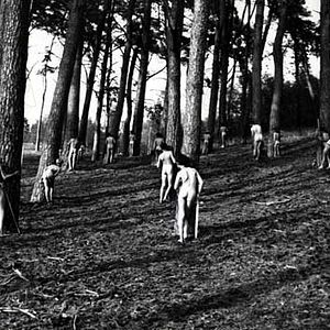 Fotoğraf Yves Robert