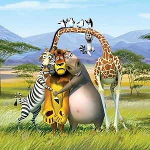 Fotoğraf Madagaskar 2