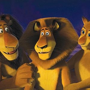 Fotoğraf Madagaskar 2