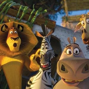 Fotoğraf Madagaskar 2