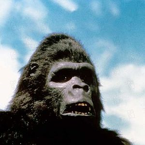 Fotoğraf King Kong 2
