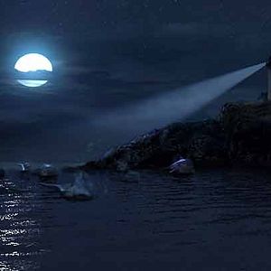 Fotoğraf Cesur Balık