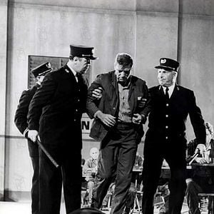 Fotoğraf Alkatraz Kuşçusu