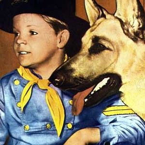 Fotoğraf The Adventures of Rin-Tin-Tin
