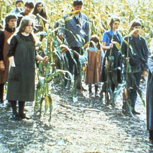 Fotoğraf Children of the Corn