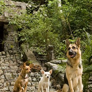 Fotoğraf Beverly Hills Çuvava