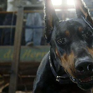 Fotoğraf Beverly Hills Çuvava