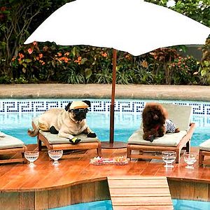 Fotoğraf Beverly Hills Çuvava