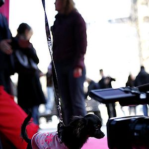 Fotoğraf Beverly Hills Çuvava