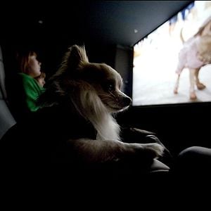 Fotoğraf Raja Gosnell