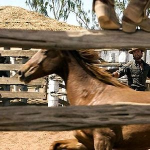 Fotoğraf Avustralya