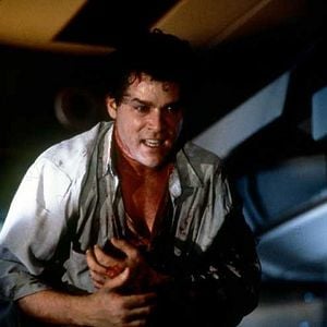 Fotoğraf Havada Panik