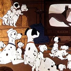 Fotoğraf 101 Dalmaçyalı