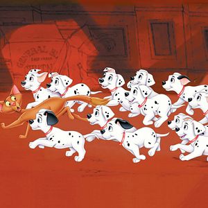 Fotoğraf 101 Dalmaçyalı