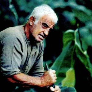 Fotoğraf Jean-Paul Belmondo