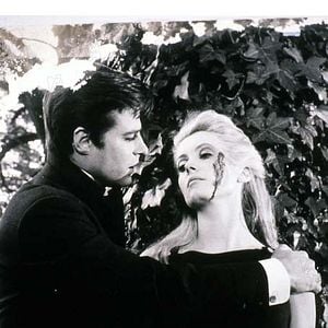 Fotoğraf Gündüz Güzeli