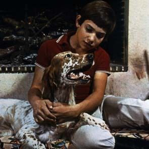 Fotoğraf Sébastien parmi les hommes