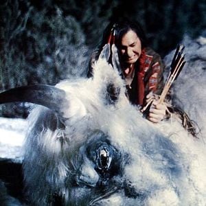 Fotoğraf The White Buffalo