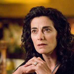 Fotoğraf The Visitor