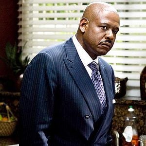 Fotoğraf Sokağın Kralları