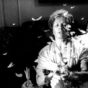 Fotoğraf Luis Buñuel