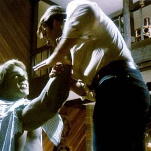 Fotoğraf Lou Ferrigno