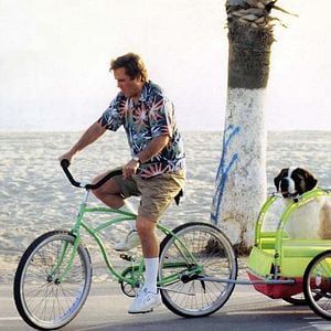 Fotoğraf Afacan Köpek Beethoven