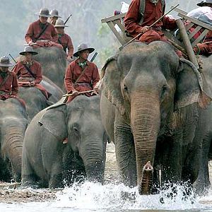 Fotoğraf Olivier Horlait