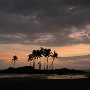 Fotoğraf Alison Thompson