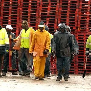 Fotoğraf Dernier maquis