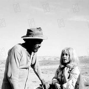 Fotoğraf Stella Stevens