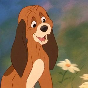 Fotoğraf The Fox and the Hound