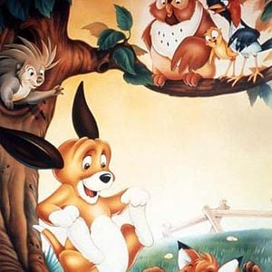Fotoğraf The Fox and the Hound