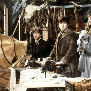 Fotoğraf Nicholas Rowe