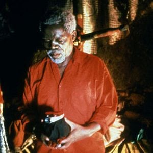 Fotoğraf The Serpent and the Rainbow