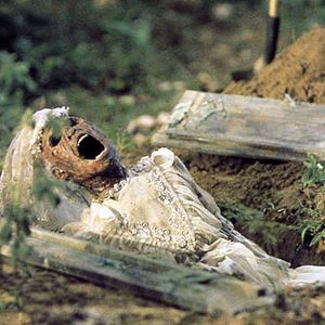 Fotoğraf The Serpent and the Rainbow