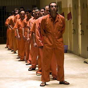 Fotoğraf Errol Morris