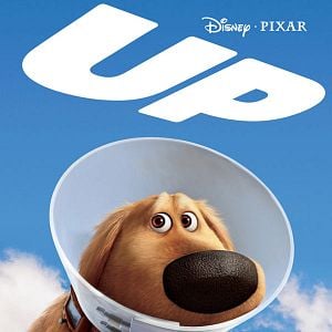 Fotoğraf Yukarı Bak