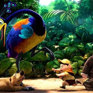 Fotoğraf Yukarı Bak