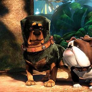 Fotoğraf Bob Peterson