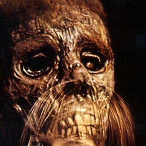 Fotoğraf Robert Mulligan