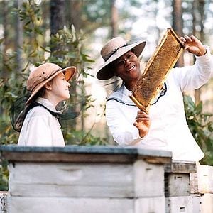 Fotoğraf The Secret Life of Bees