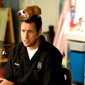 Fotoğraf Gerçek Masallar