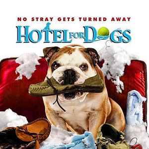 Fotoğraf Köpek Oteli