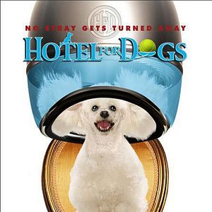 Fotoğraf Köpek Oteli