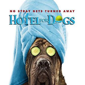 Fotoğraf Köpek Oteli