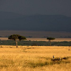 Fotoğraf Alastair Fothergill