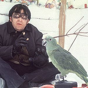 Fotoğraf Evde Tek Başına 3