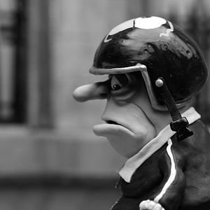 Fotoğraf Adam Elliot