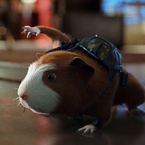 Fotoğraf Hoyt Yeatman